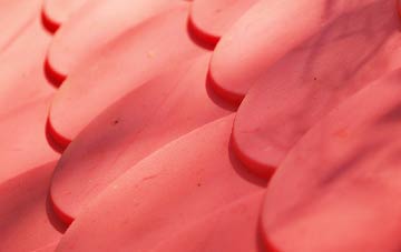 Sholden plastic roof costs