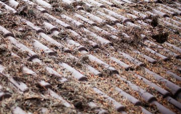 Sholden roof cleaning companies